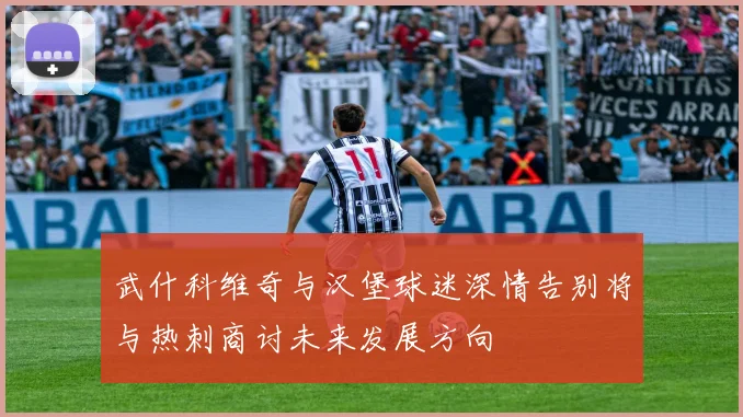武什科维奇与汉堡球迷深情告别将与热刺商讨未来发展方向